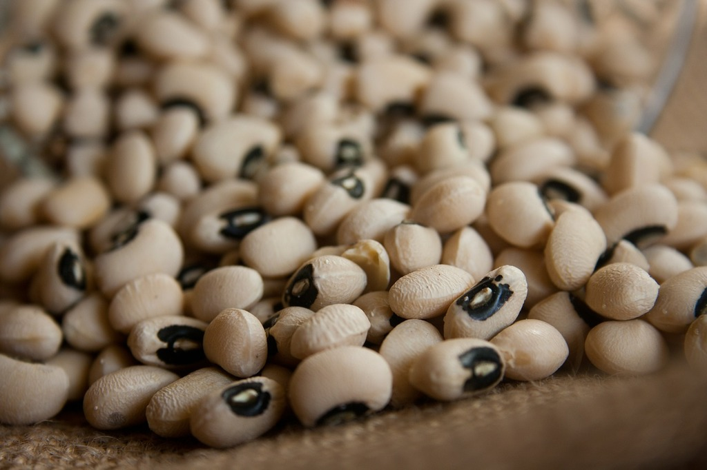 Black-eyed Peas, Pinal County, Arizona