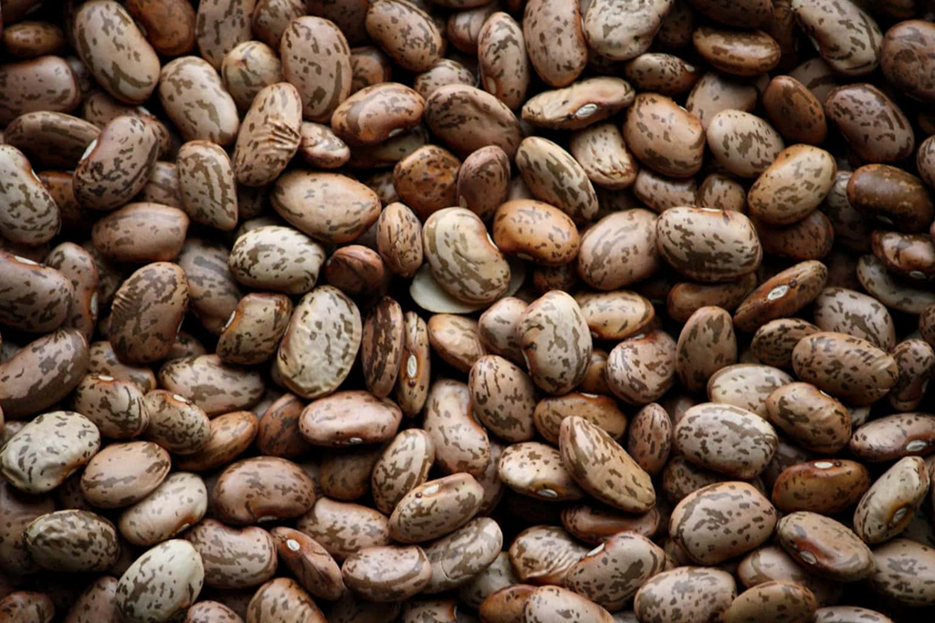 Pinto Beans, Pinal County, Arizona